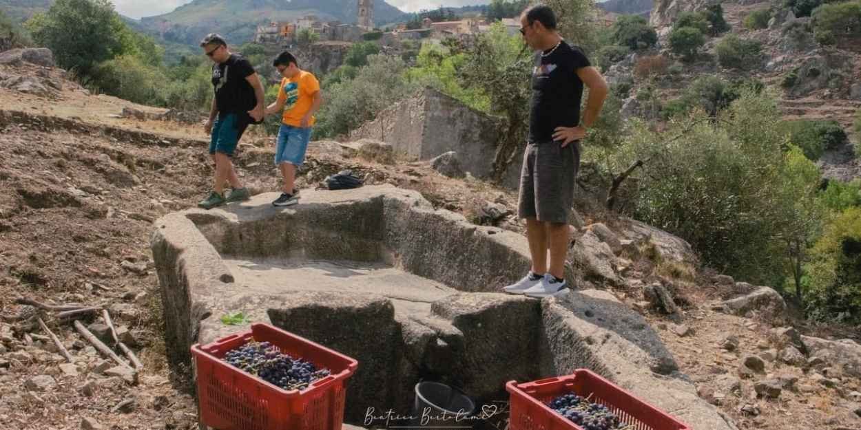 novariafestival,sciarammu,novara,sicilia,teatro,musica,circo,festival,spettacoli,escursioni,laboratori,patrimonioculturale,tradizioni,arte,clown,giocoleria,libri,concerti,comunità,agosto