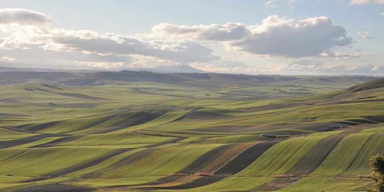 altamura, puglia, musica, concerti, rassegna, murgia, flamenco, india, world, folk, jazz, organetto, violino, sitar, tabla, cajon, masseria, festival, estate, cultura