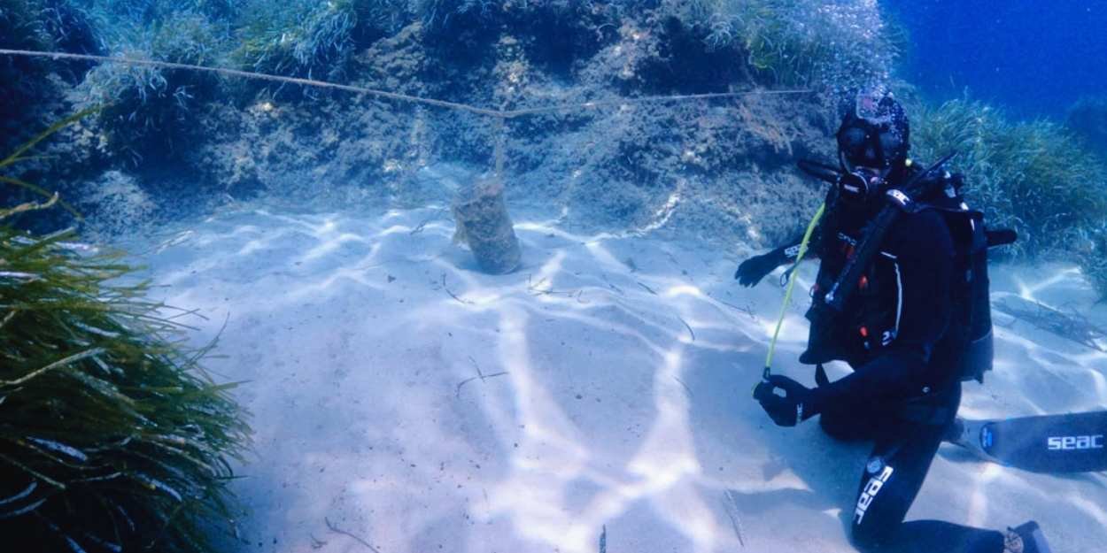 sardegna,cagliari,lega navale,blue life,ghost nets,pesca,ambiente,ecosistema,marino,plastiche,wwf,università,cittadinanza,istituzioni,ricerca,sostenibilità,pescatori,scuola,associazioni,subacquei