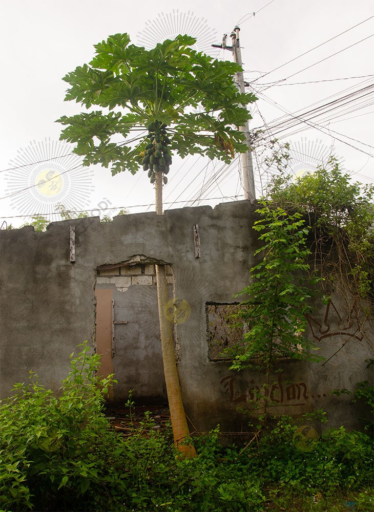 IMPOSSIBLE SCULPTURE #2