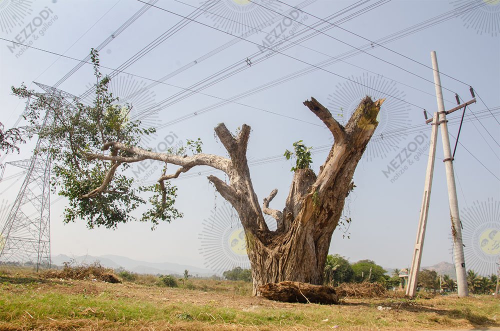 IMPOSSIBLE SCULPTURE #4