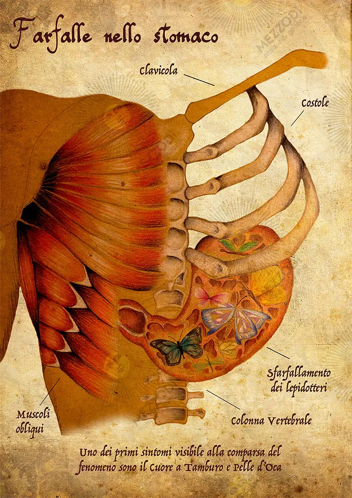 Farfalle nello stomaco