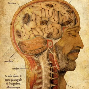 tarli-relica-re-li-calzi-disegno