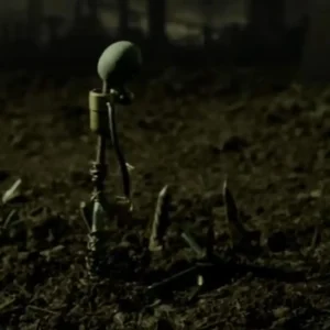 cover-bloomik-ameleto-cascio-video-arte-stop-motion-genesis