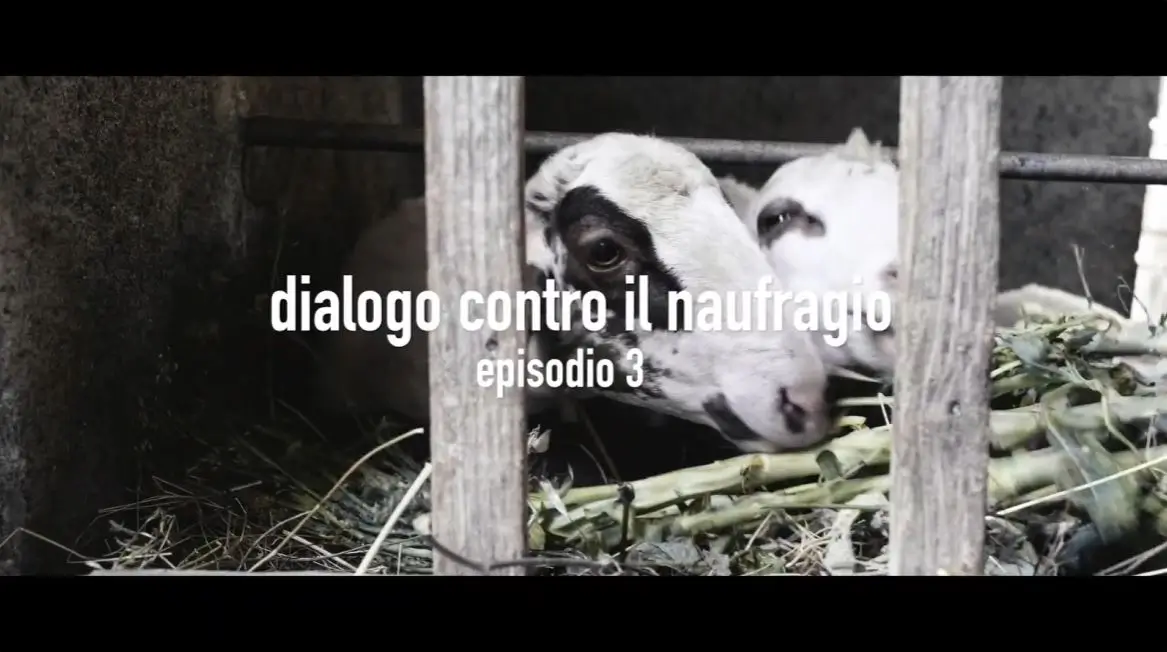 Dialogo contro il naufragio/ We don’t drown – ep. 3
