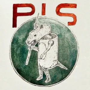 Pis-cover-passami-il-sale-musica-dadaista-fabio-vassallo-max-princigallo